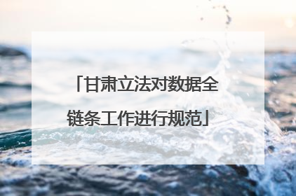 甘肃立法对数据全链条工作进行规范